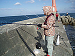 Photo_4