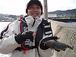 Photo_8