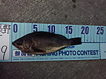 Photo_9
