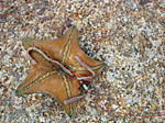 13_767_medium