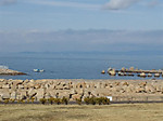 2_751_medium