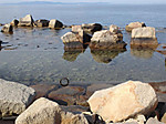 3_753_medium