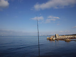7_764_medium