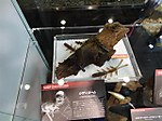 Photo_40