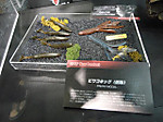 Photo_47