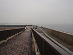 682_medium
