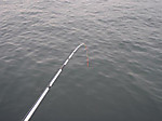 685_medium