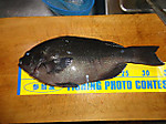 Photo_9
