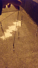 Pap_0696