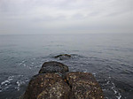 2_761_medium