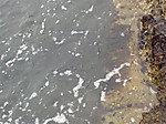 4_742_medium
