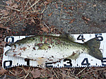 P3070266_medium