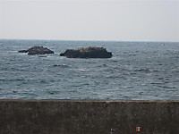 746_medium