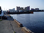 Photo_6