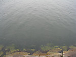 5_medium