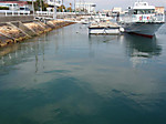 773_medium