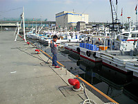 Medium_4