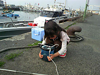 Medium_8