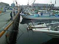 Medium_9