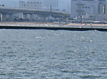 4_038_medium