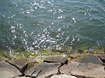5_039_medium