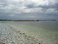 Medium_2