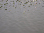832_medium_2