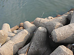 835_medium
