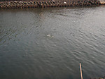 836_medium