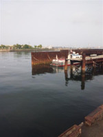 Photo_4