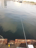 Photo_5