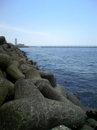 Medium_5