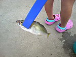 Photo_13