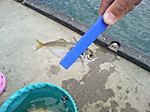 Photo_14