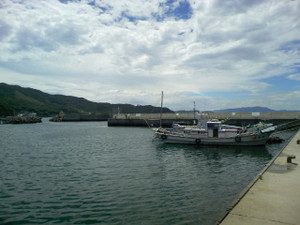 Photo_3