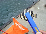 Photo_8