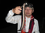 1041_large