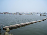 3_008_medium