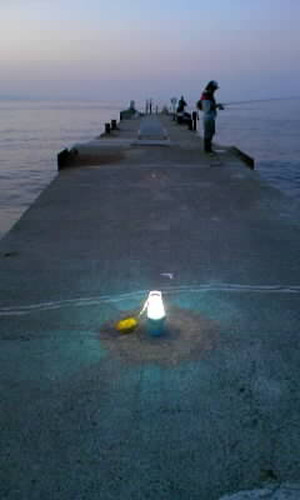 Photo_8