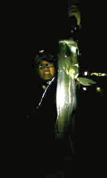 Photo_11