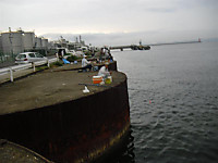 1076_medium