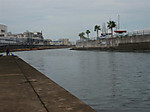 1117_medium