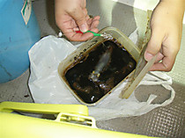 P9122340_large