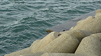 P1020047
