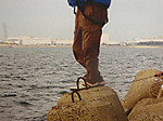 1223_medium
