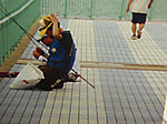 1224_medium