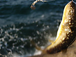 1220_medium_2