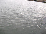 1277_medium