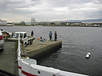 1279_medium