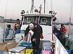 1236_large